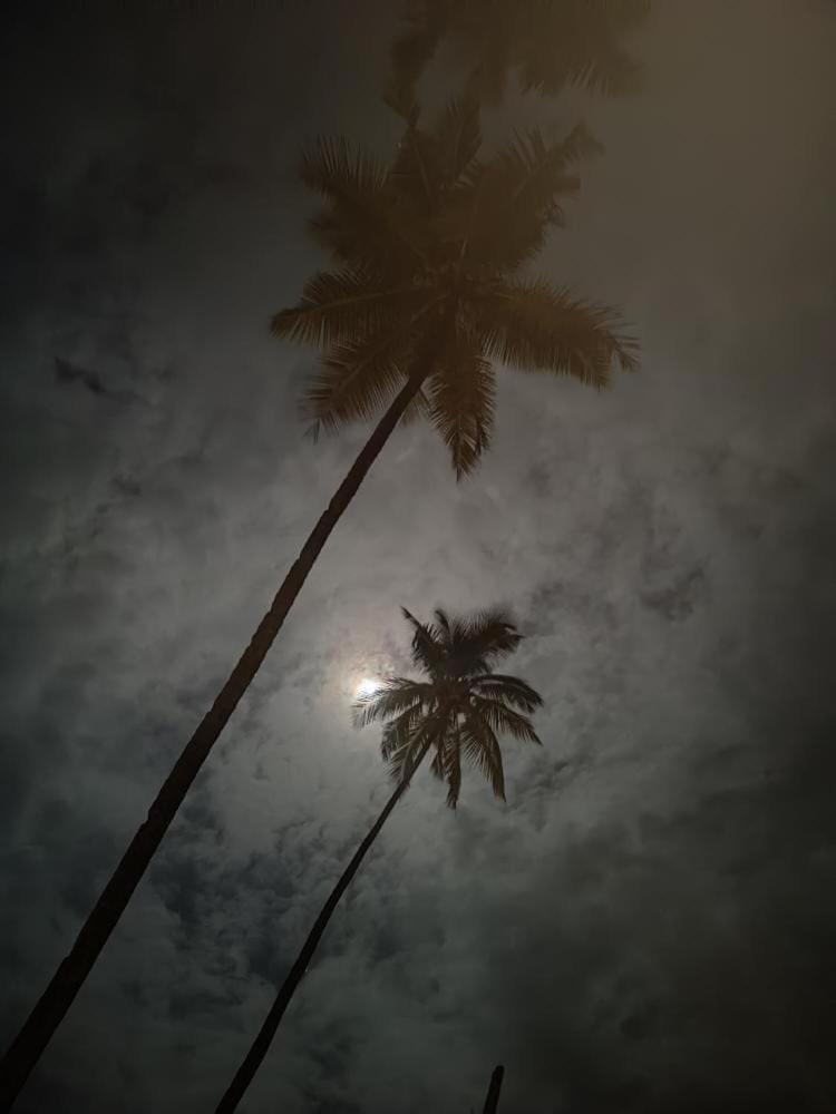 Bluemoon By Neelchand Hotel